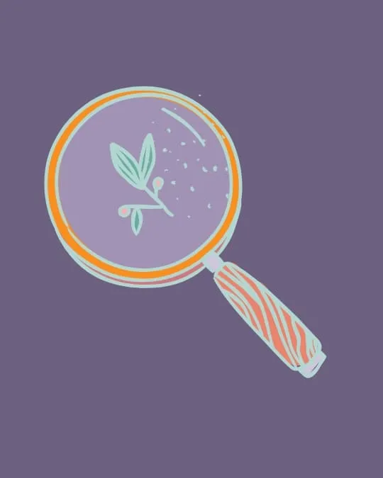 Objetivos de la terapia